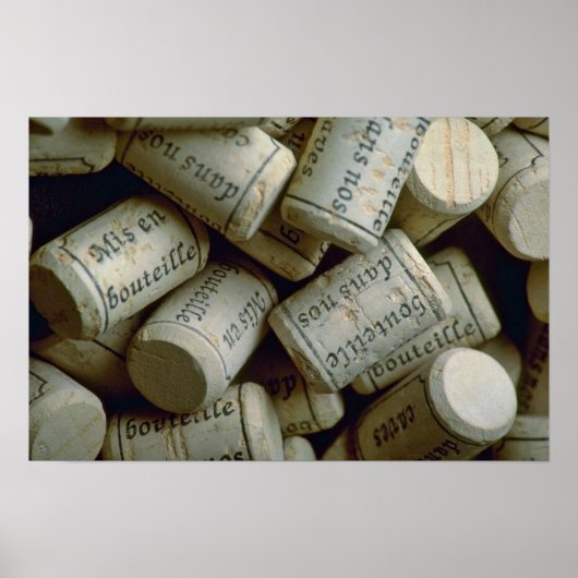 コルクの山 ポスター (正面)