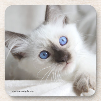 コルクの背部が付いている6つのバリ島の堅いプラスチックコースター コースター