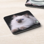 コルクの背部が付いている6つのバリ島の堅いプラスチックコースター コースター (左側)