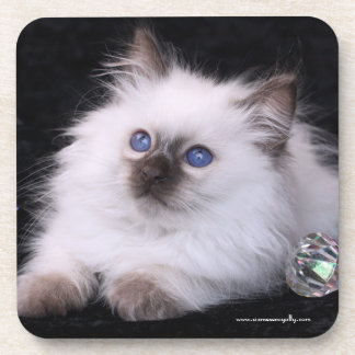 コルクの背部が付いている6つのバリ島の堅いプラスチックコースター コースター