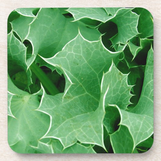 コルクコースターのグリーンヒイラギのクローズアップセット コースター (正面)