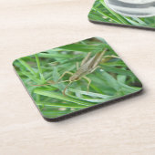 コルクコースターのバッタ コースター (左側)