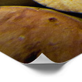 コルクス ポスター (角)