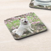 コルクバックコースターホワイト秋田6基 コースター (左側)