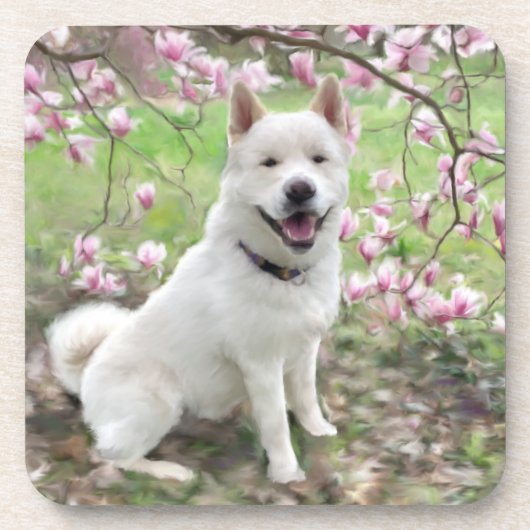 コルクバックコースターホワイト秋田6基 コースター (正面)