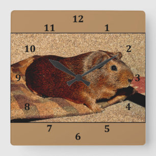 コルクボードルックギニアピグ スクエア壁時計