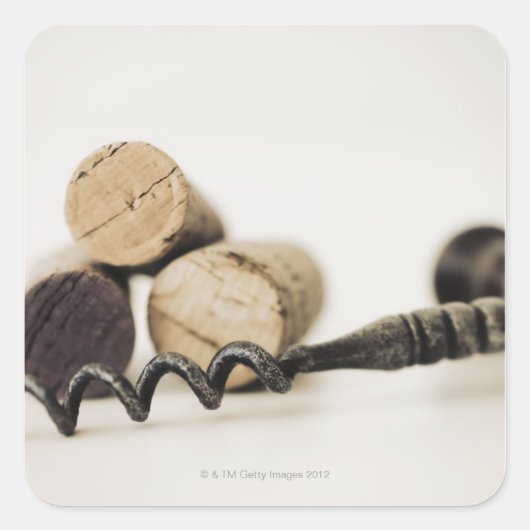 コルク栓抜きのワインのコルク スクエアシール (正面)