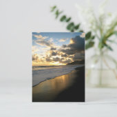 コルコバドナショナルパークビーチ ポストカード (スタンド正面)