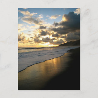 コルコバドナショナルパークビーチ ポストカード