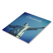 コルコバド タイル (側面)