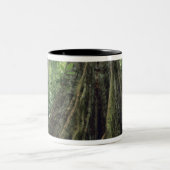 コルコバド·熱帯雨林の茂った木 ツートーンマグカップ (中央)