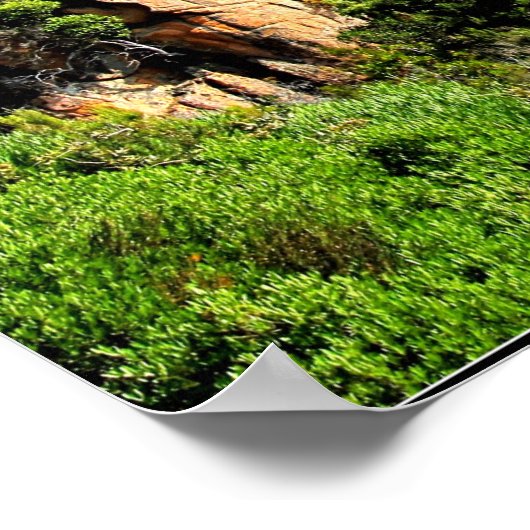 コルシカの風景 ポスター (角)