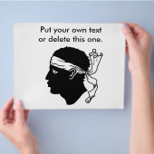 コルシカ島の旗がプリントされたフライヤー フランス チラシ (手)