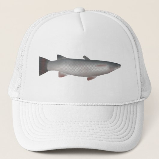 コルスラ キャップ (正面)