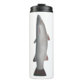 コルスラ タンブラー (正面)