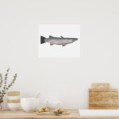 コルスラ ポスター (キッチン)