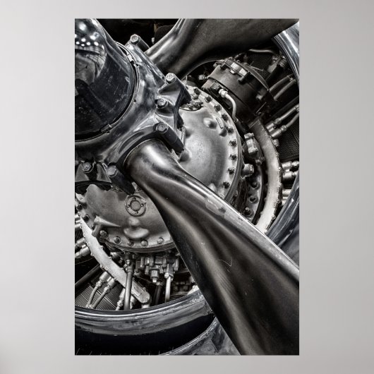 コルセア ポスター (正面)