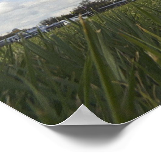 コルセア ポスター (角)