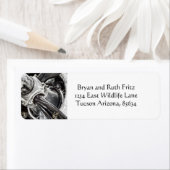 コルセア ラベル (インサイチュ)