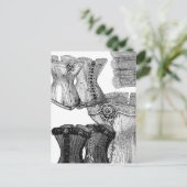 コルセットとさらにコルセット ポストカード (スタンド正面)