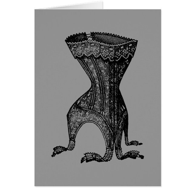 コルセフランスのット (正面)