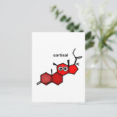 コルチゾール ポストカード (スタンド正面)