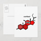 コルチゾール ポストカード (正面/裏面)