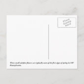 コルツフット ポストカード (裏面)