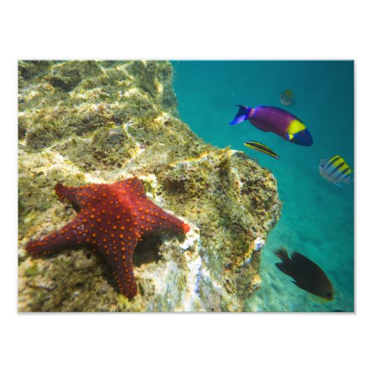 コルテスレインボーラッセ男女と海 フォトプリント            (正面)