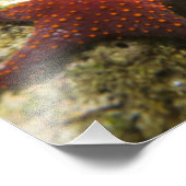 コルテスレインボーラッセ男女と海 フォトプリント            (角)