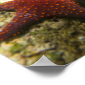 コルテスレインボーラッセ男女と海 ポスター (角)