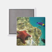 コルテスレインボーラッセ男女と海 マグネット (正面/裏面)