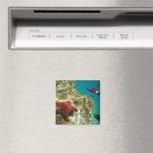 コルテスレインボーラッセ男女と海 マグネット (インサイチュ (食洗機))