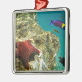 コルテスレインボーラッセ男女と海 メタルオーナメント (左)