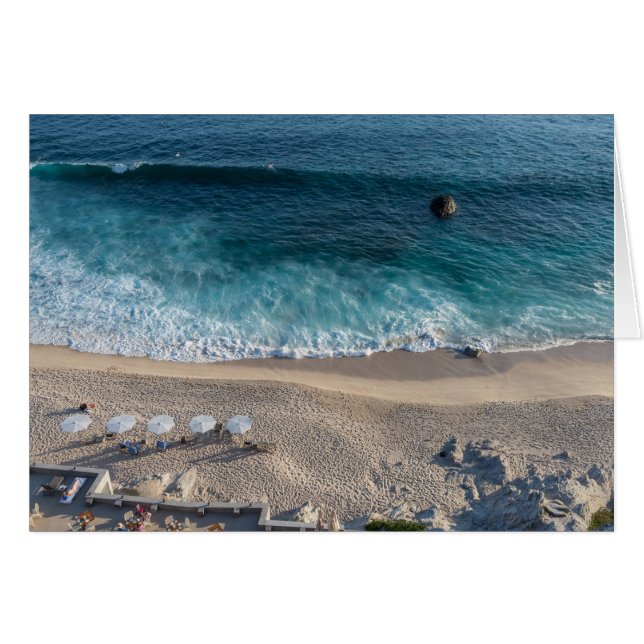 コルテス海 (正面横)