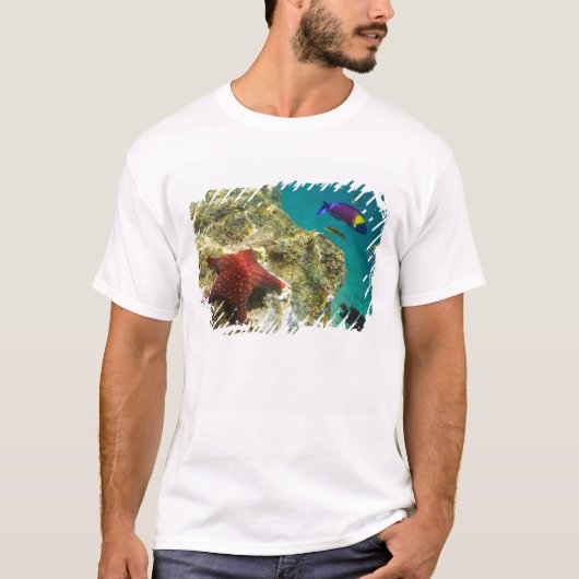 コルテス・レインボー・ラス(オス・メス)と海 Tシャツ (正面)
