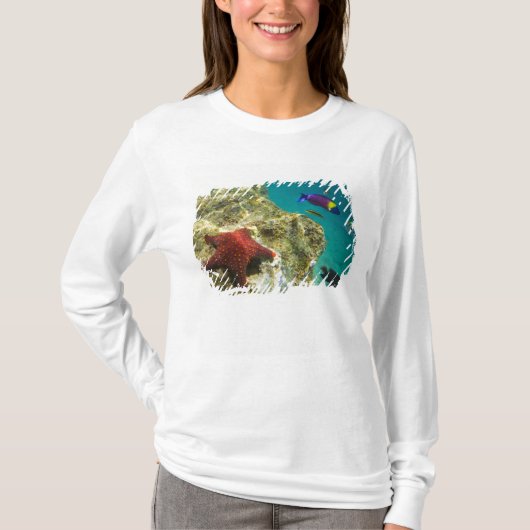 コルテス・レインボー・ラス(オス・メス)と海 Tシャツ (正面)