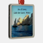 コルテズカボサンルーカスメキシコ海 メタルオーナメント (右)