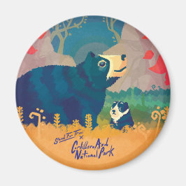 コルディレラアズール磁石 マグネット