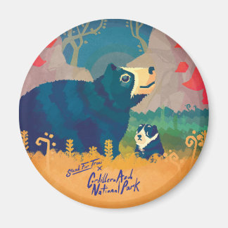 コルディレラアズール磁石 マグネット