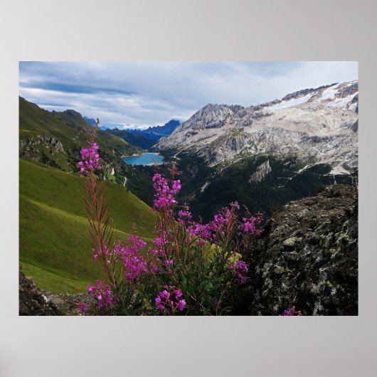 コルディロッシ ポスター (正面)