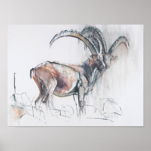 コルディヴェルミアナズ ポスター (正面)