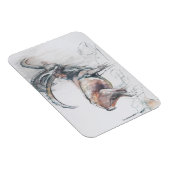 コルディヴェルミアナズ マグネット (右側)