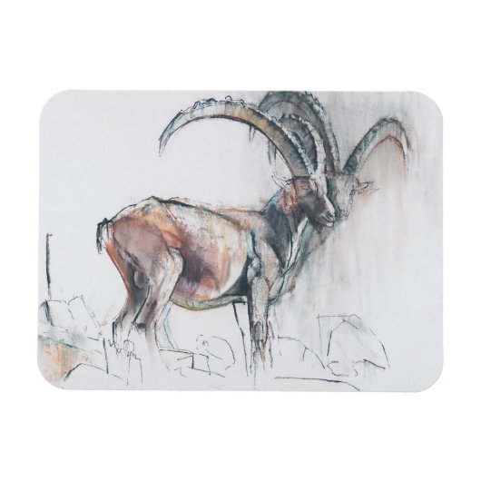 コルディヴェルミアナズ マグネット (横)