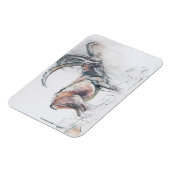 コルディヴェルミアナズ マグネット (左側)