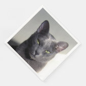 コルト (コーナー)