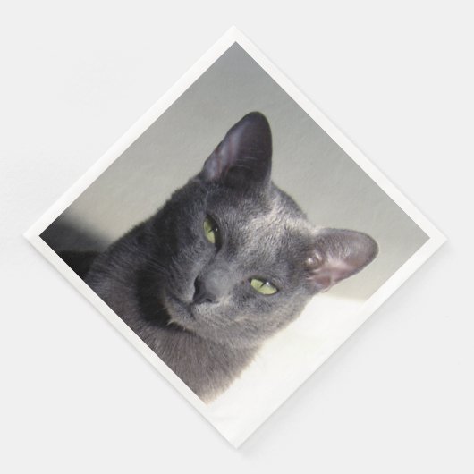 コルト (コーナー)