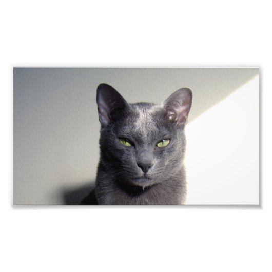 コルト フォトプリント            (正面)