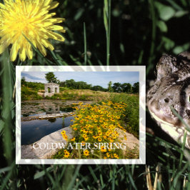 コルドウォーター春パーク、ミシシッピ州立川 ポストカード