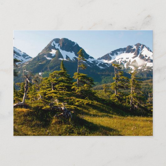 コルドバ近くのエクルズ山, アラスカ州 ポストカード (正面)